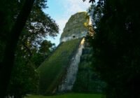 a very tall building sitting in the middle of a forest