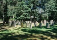 Old gravestones in a grassy cemetery surrounded by trees.