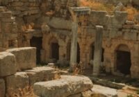 the ruins of a roman city are covered in vegetation