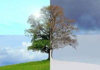 The Year Without Summer 1816 Volcanic Winter A Deep Dive into Climate Chaos