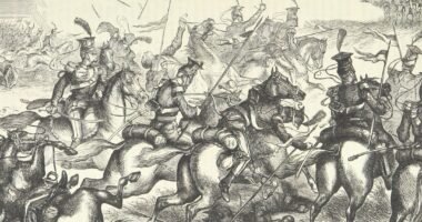 sketch of horses